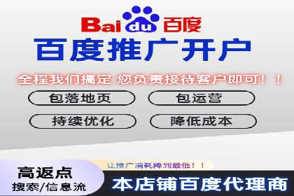 某电商平台的SEM代运营策略及效果评估